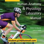 Human Anatomy Physiology Laboratory Manual Fetal Pig Version 13th Edition Product details by Elaine N. Marieb Test Bank